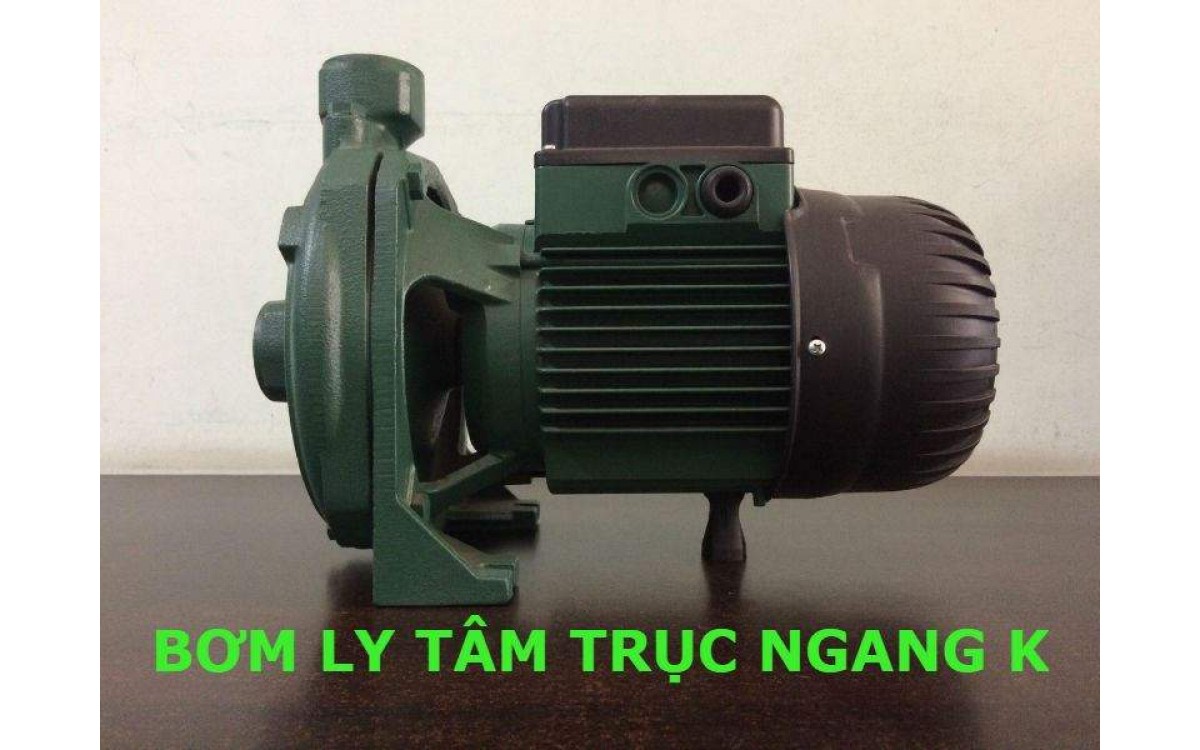 So sánh máy bơm hồ bơi Euroswim DAB và Lepono LEO