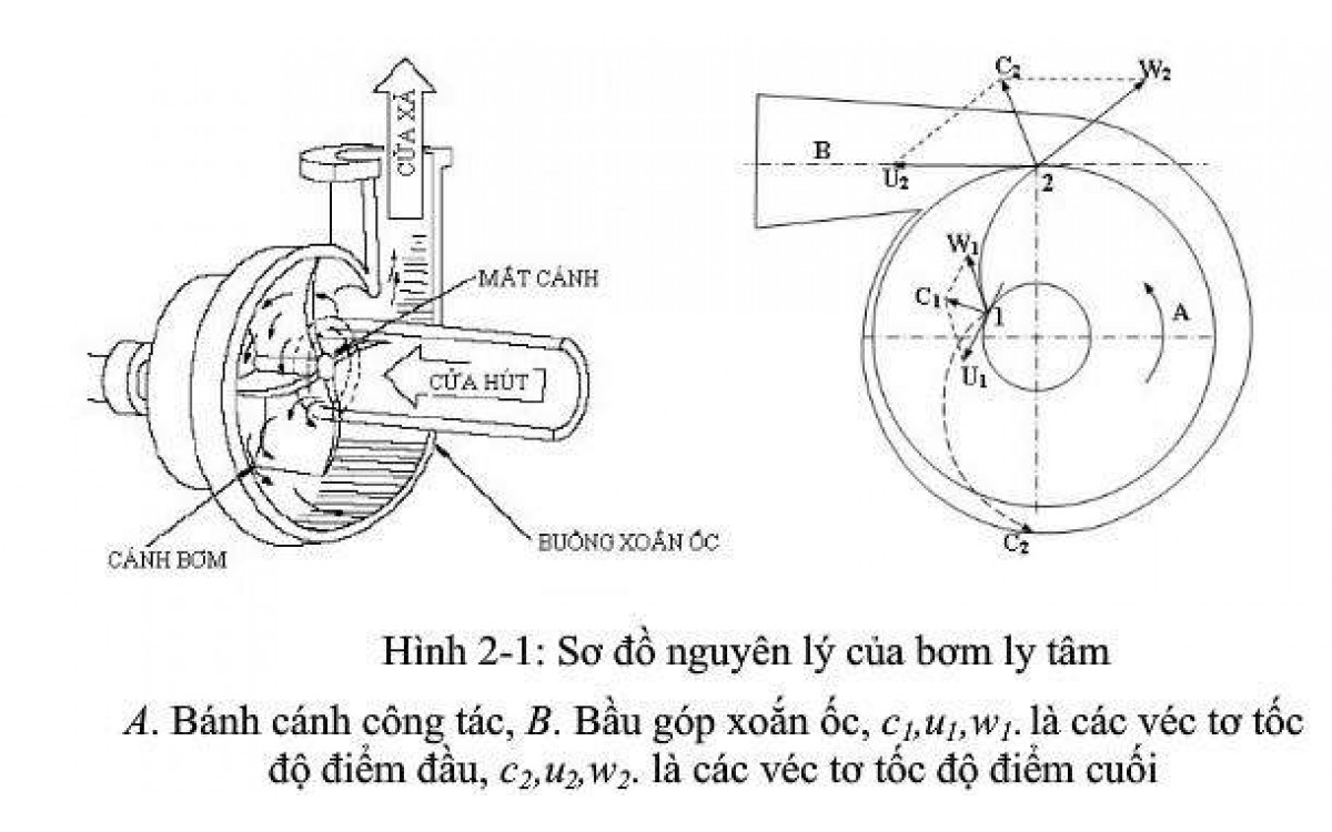 Sử dụng máy bơm ly tâm cần biết những gì ?