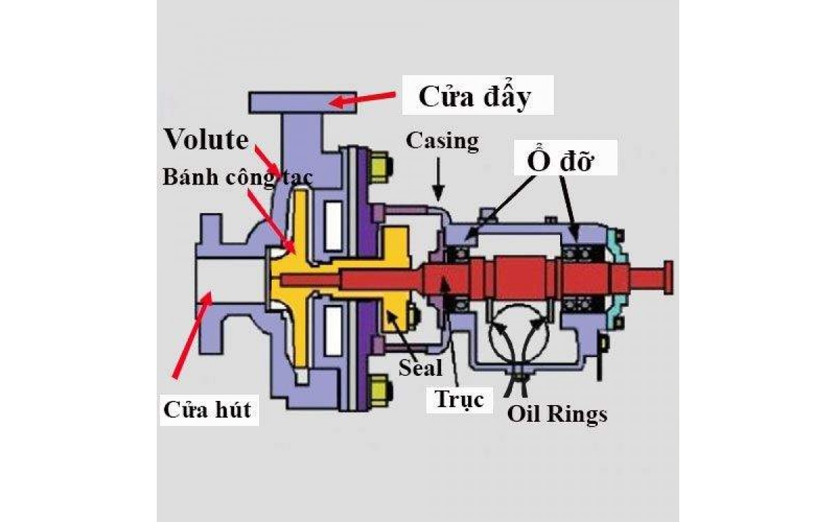 Cấu tạo, nguyên lý hoạt động và công dụng máy bơm ly tâm trục ngang
