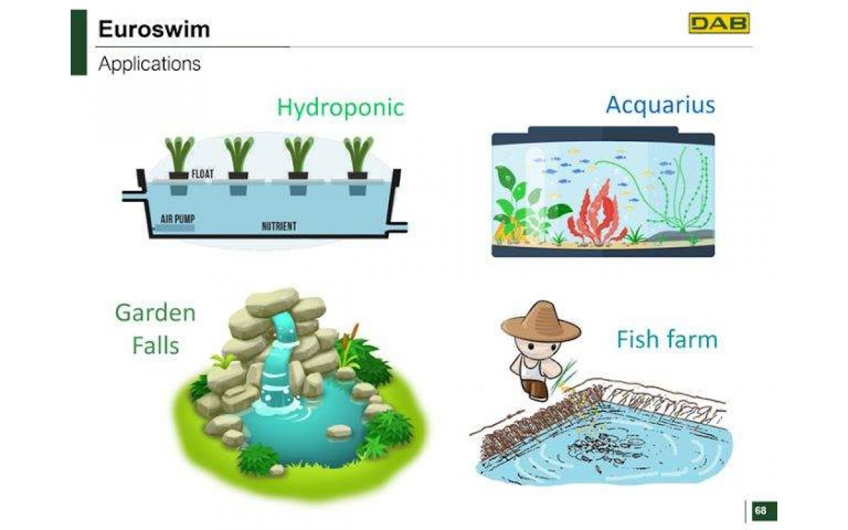 Máy bơm bể bơi chất lượng cao 2020 Euroswim DAB đa ứng dụng